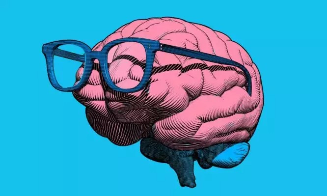 engraving-brain-with-eyeglasses-illustration-on-blue-bg-vector-id1167590491-666x399-1