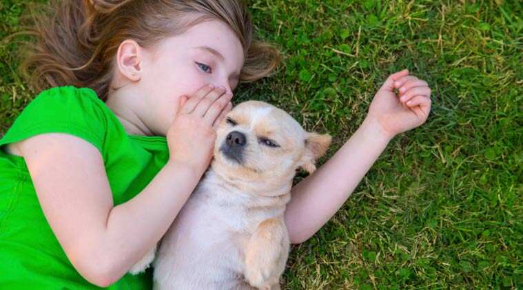 kid-dog-main